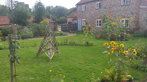 The garden in the summer after our hard work, with the plant supports in their new home